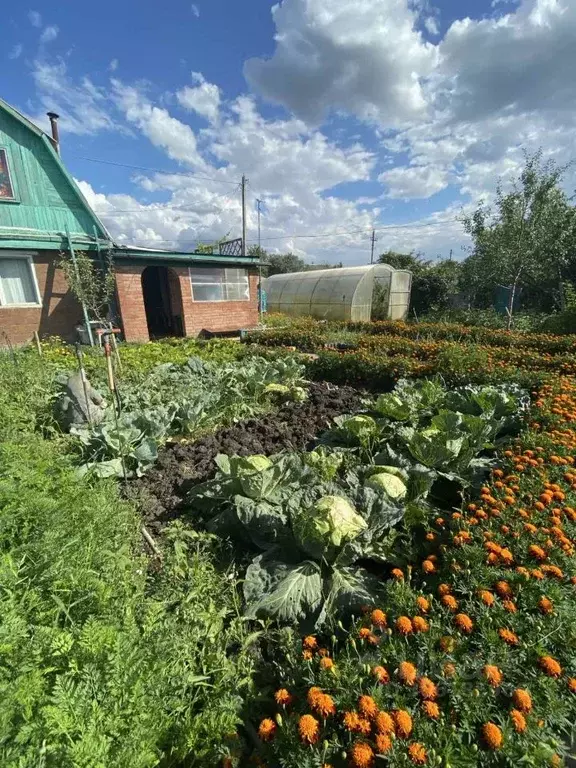 Дом в Самарская область, Ставропольский район, Нижнее Санчелеево ... - Фото 1