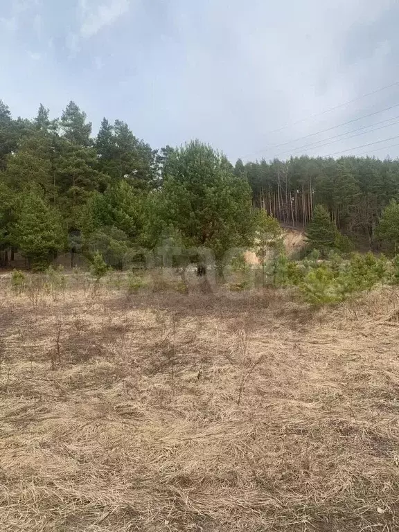Участок 6 сот. (СНТ, ДНП) - Фото 0