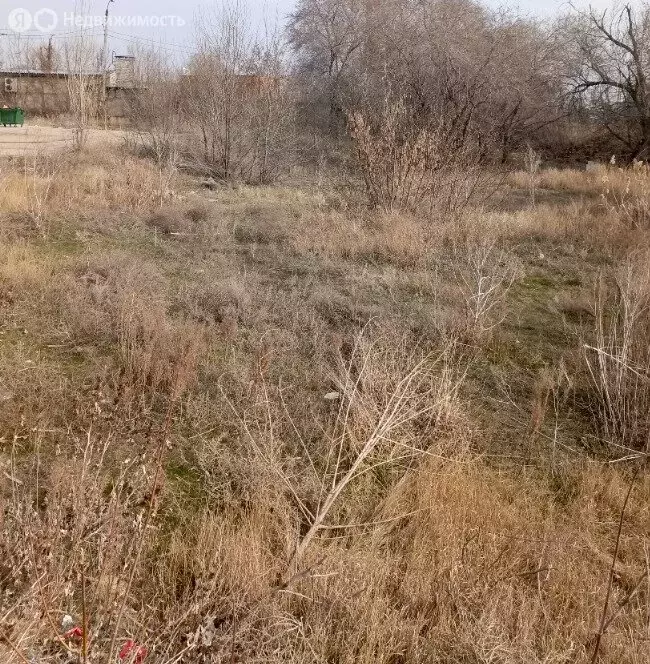 Участок в Волгоград, территория село Песчанка, Осотовая улица (8.1 м) - Фото 0