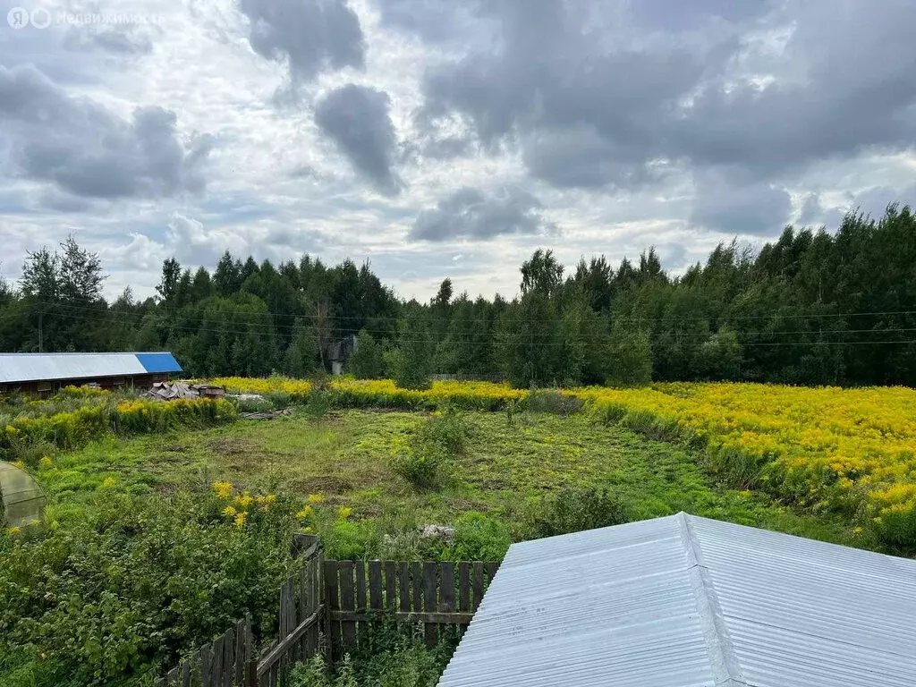 Участок в Нижегородская область, Бор (14 м) - Фото 1