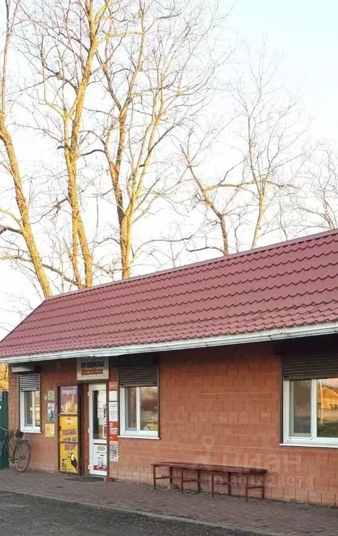 Торговая площадь в Краснодарский край, Ейский район, Копанское с/пос, ... - Фото 1