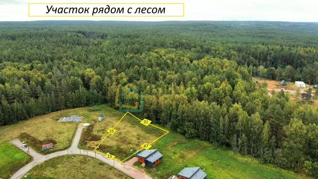 Участок в Ленинградская область, Приозерский район, Красноозерное ... - Фото 2