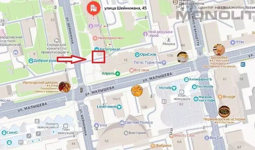 Торговая площадь в Свердловская область, Екатеринбург ул. Шейнкмана, ... - Фото 2