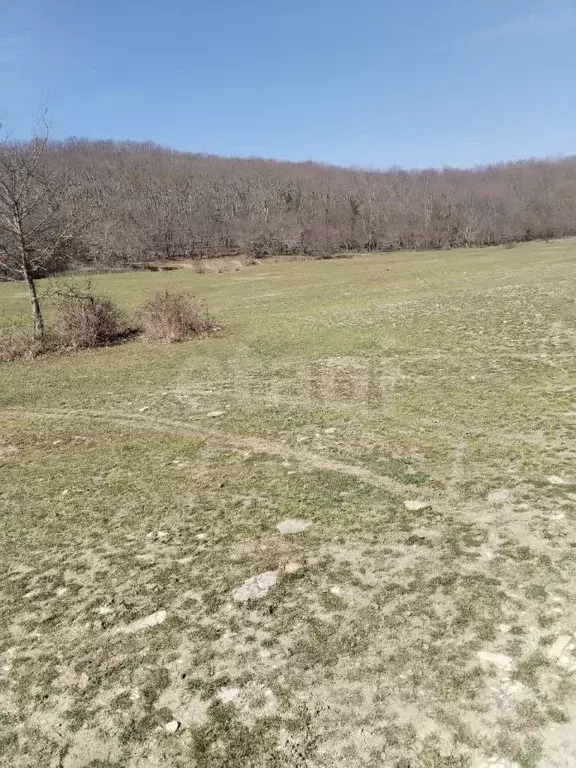 Участок в Краснодарский край, Геленджик городской округ, с. ... - Фото 1