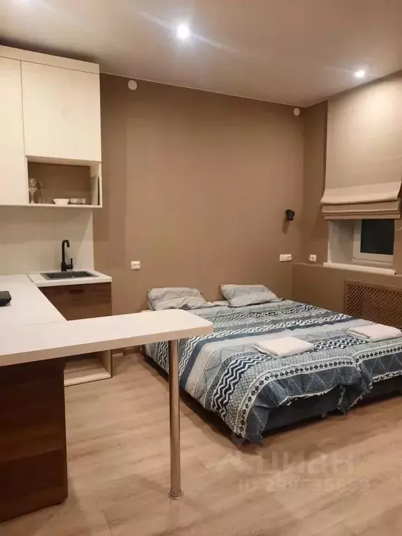 1-к кв. Новгородская область, Любытинское с/пос, с. Зарубино ул. ... - Фото 1