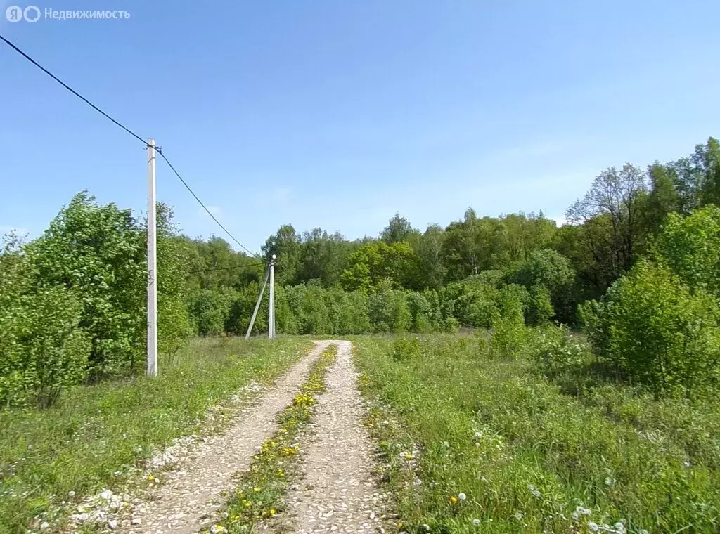 Участок в Московская область, городской округ Ступино, село ... - Фото 1