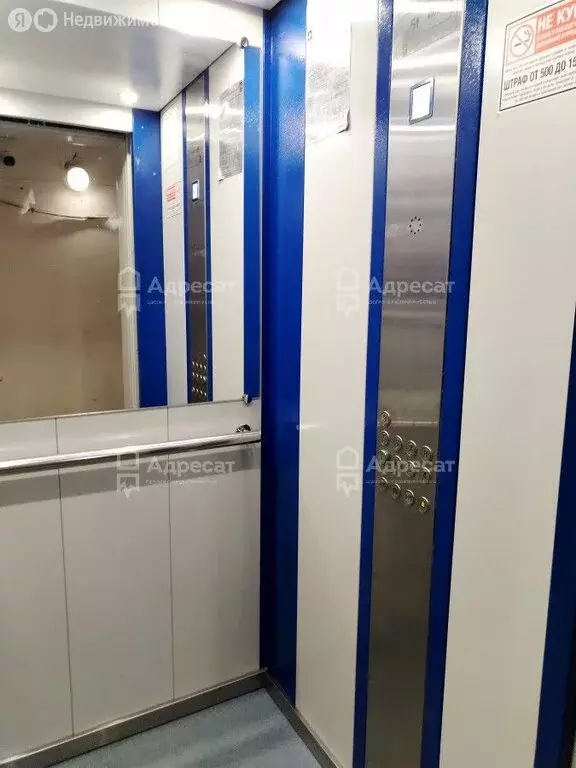 1-комнатная квартира: Волгоград, район Семь Ветров, бульвар 30-летия ... - Фото 1