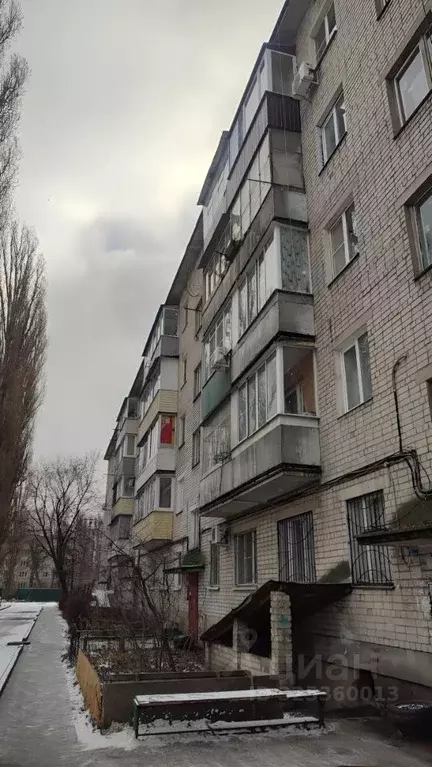 2-к кв. Воронежская область, Воронеж Баррикадная ул., 35 (41.9 м) - Фото 1