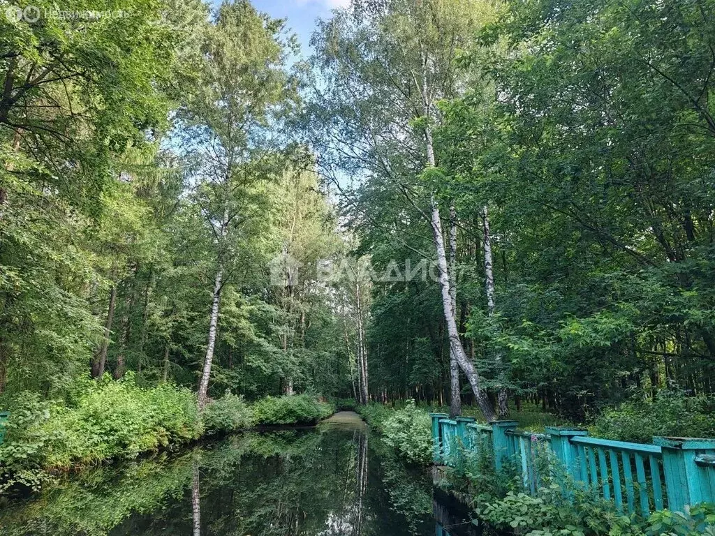 2-комнатная квартира: Санкт-Петербург, проспект Энгельса, 17 (61.3 м) - Фото 2