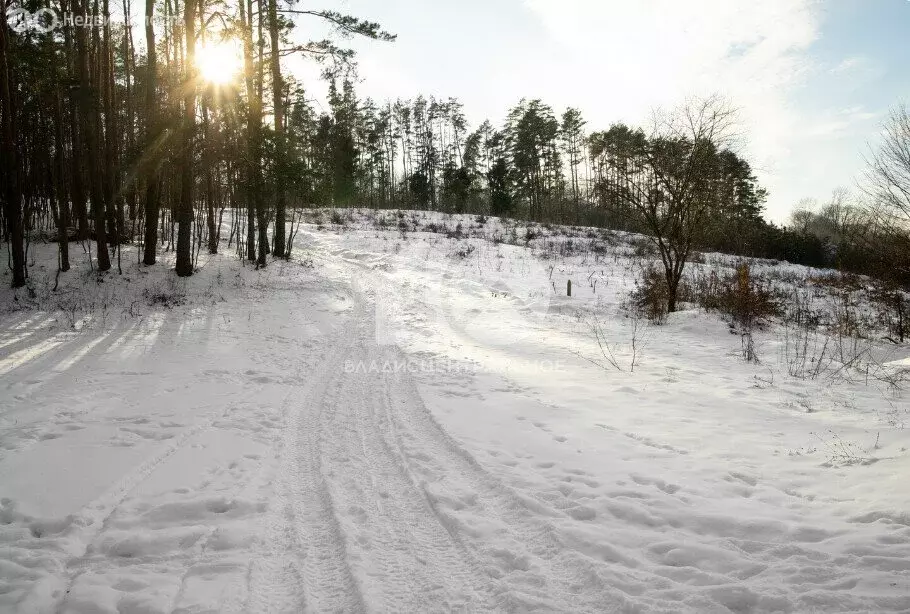 Участок в Искитимский район, Мичуринский сельсовет, деревня Бердь, ... - Фото 2