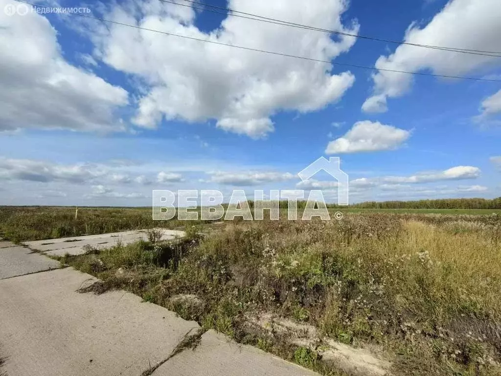 Участок в село Каменка, Тюменская улица (200 м) - Фото 0