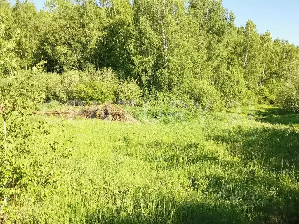 Участок в Калужская область, Совхоз Боровский с/пос, д. Уваровское  ... - Фото 2