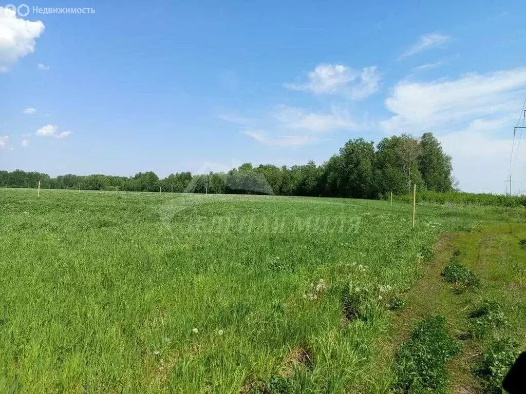 Участок в Тюменский район, деревня Малиновка (6 м) - Фото 1