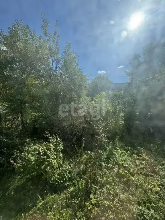 1-к кв. Новосибирская область, Новосибирск Нижняя Ельцовка мкр, ул. ... - Фото 0