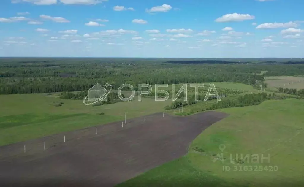 Участок в Тюменская область, Тюменский район, д. Елань  (8.1 сот.) - Фото 0