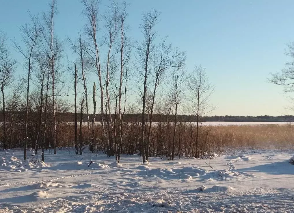 Участок в Ленинградская область, Приозерский район, Ларионовское ... - Фото 2