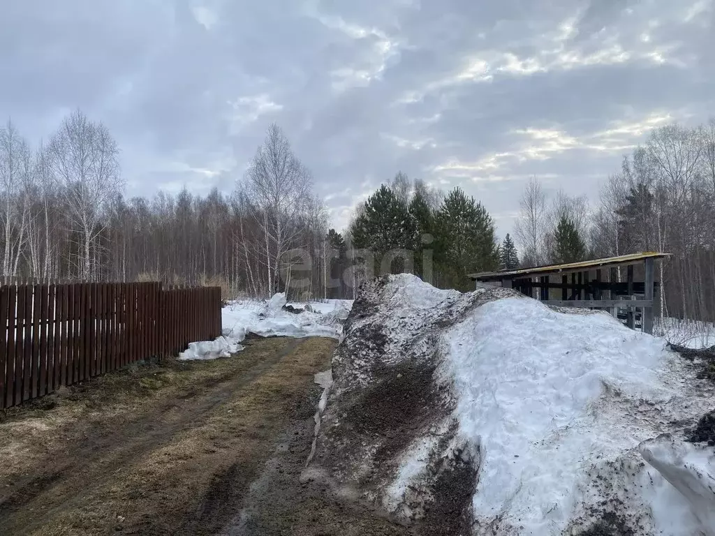 Участок в Томская область, Томск Березка садовое товарищество,  (13.0 ... - Фото 1