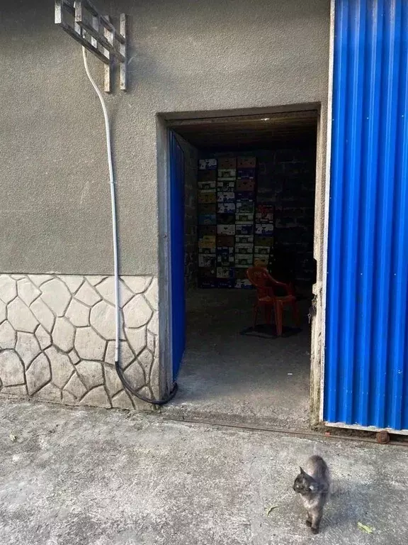 Склад в Краснодарский край, Сочи Урожайная ул., 73А/1 (25 м) - Фото 1