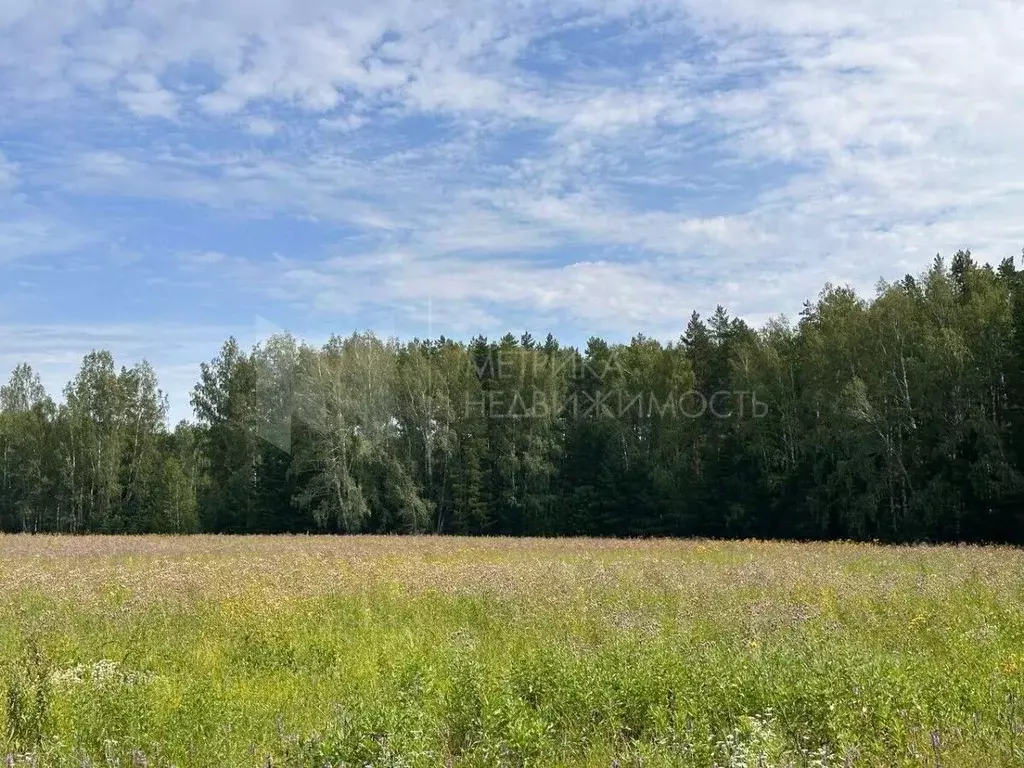 Участок в Тюменская область, Тюменский муниципальный округ, с. Кулига ... - Фото 2