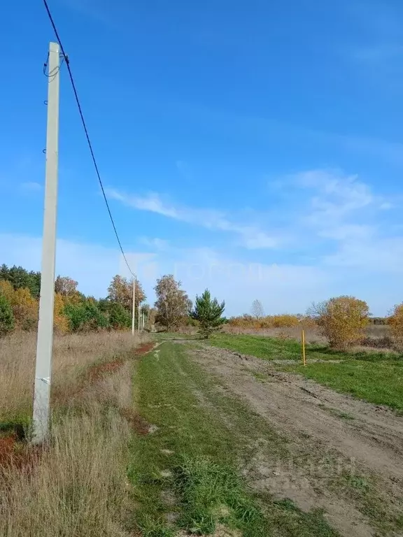 Участок в Алтайский край, Барнаул городской округ, пос. Ягодное ул. ... - Фото 1