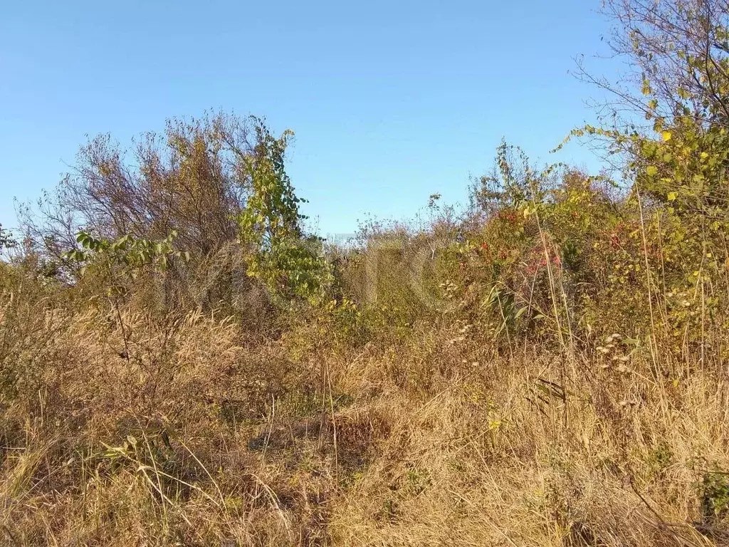 Участок в Краснодарский край, Славянск-на-Кубани Ивушка СДТ,  (8.0 ... - Фото 1