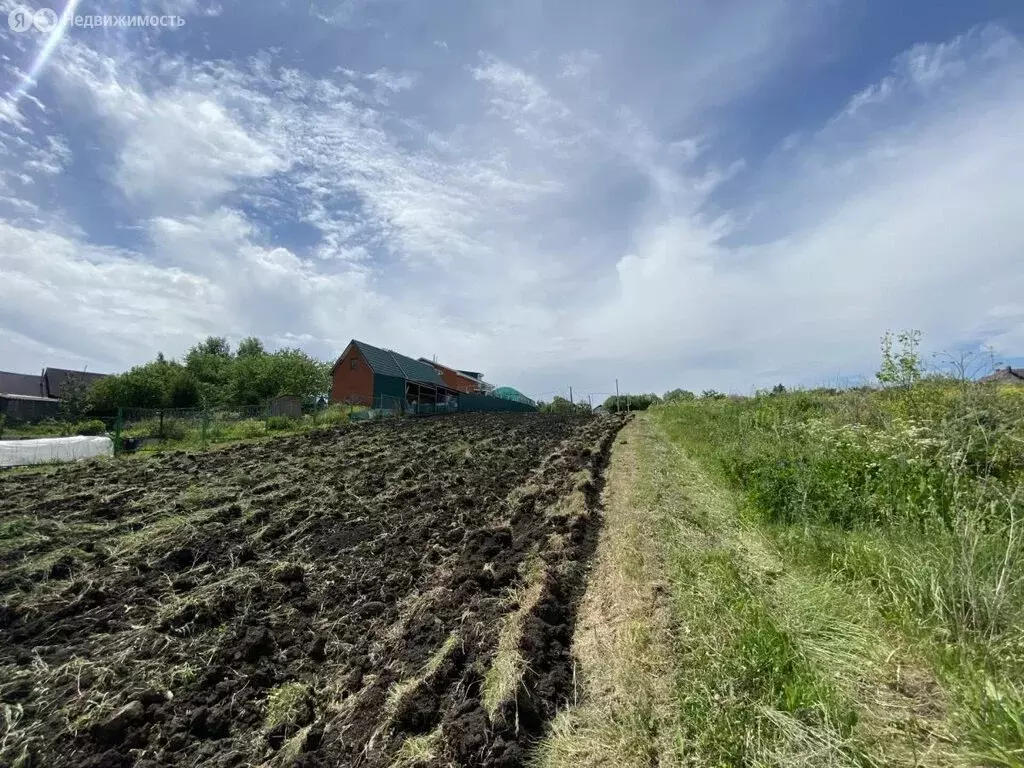 Участок в Пензенский район, Богословский сельсовет, село Малая ... - Фото 1