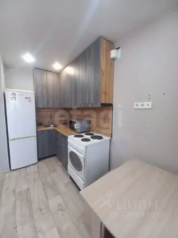 Студия Амурская область, Благовещенский район, с. Чигири ул. ... - Фото 2