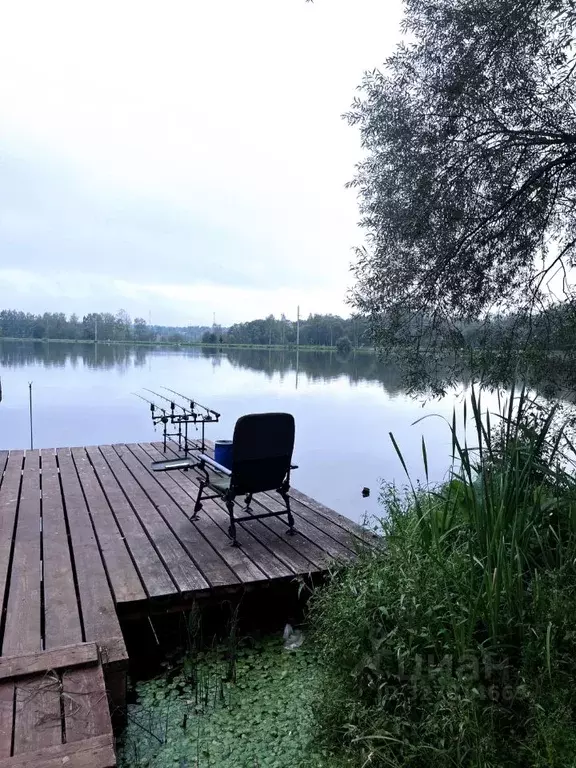 Участок в Московская область, Рузский муниципальный округ, Петряиха кп ... - Фото 1