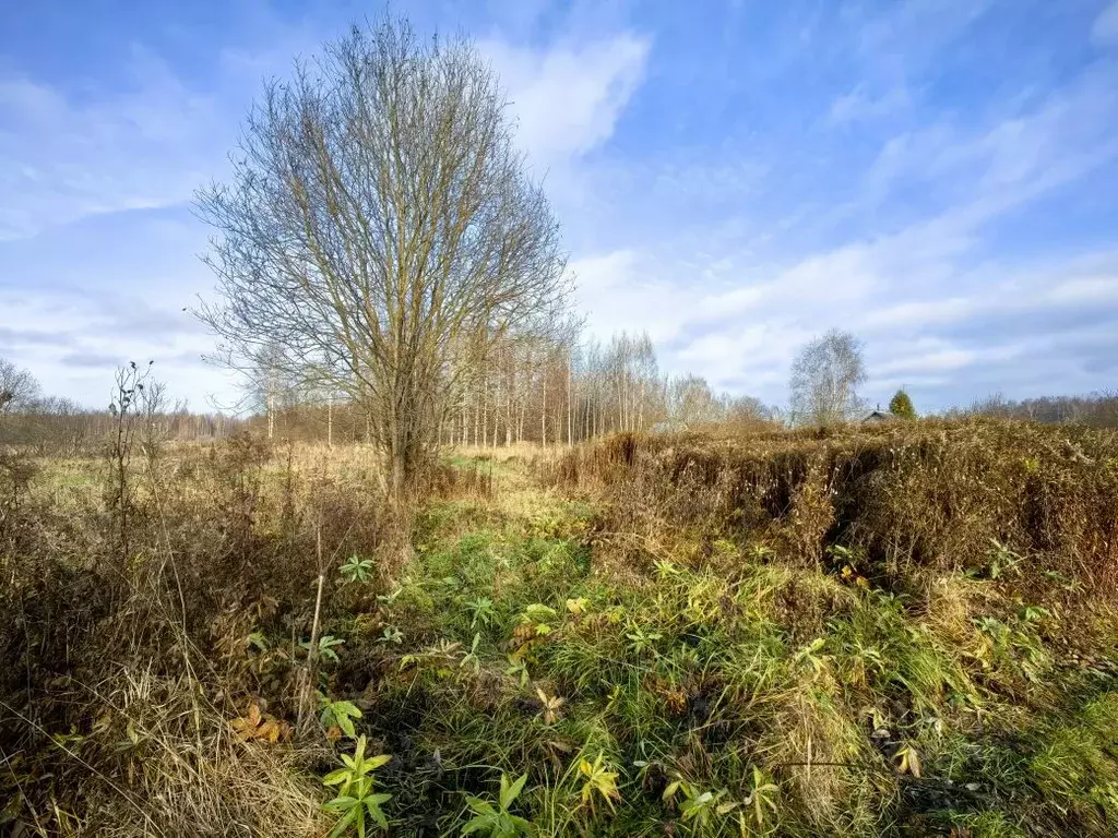 Участок в Тверская область, Калязинский муниципальный округ, д. ... - Фото 2
