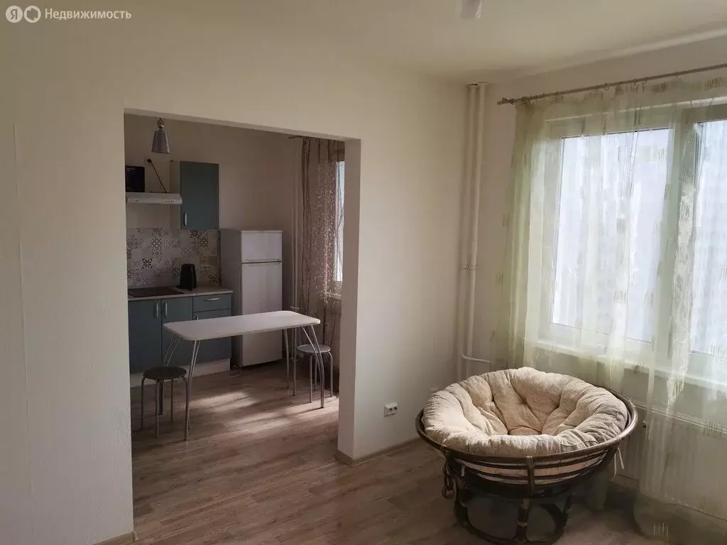 1-комнатная квартира: Санкт-Петербург, Муринская дорога, 10к3 (27.5 м) - Фото 1