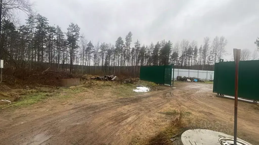 Участок в Ленинградская область, Приозерский район, пос. Мичуринское ... - Фото 1