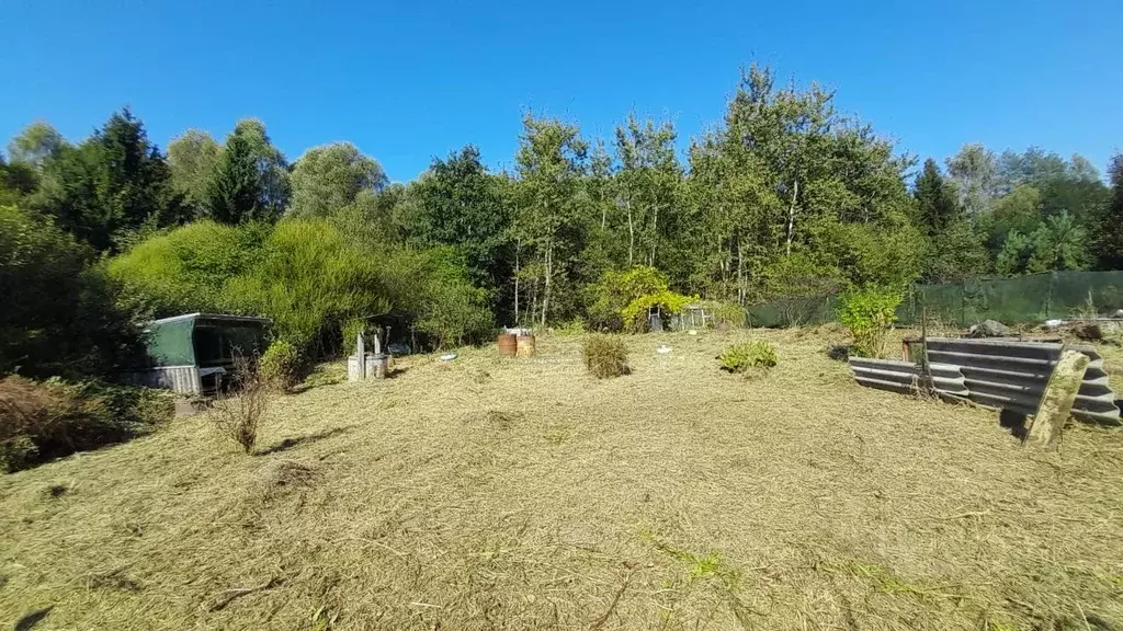 Участок в Калининградская область, Светловский городской округ, пос. ... - Фото 2