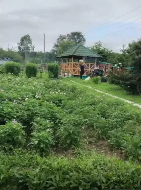Дом в Камчатский край, Елизовский район, Рябинушка объединения ... - Фото 2