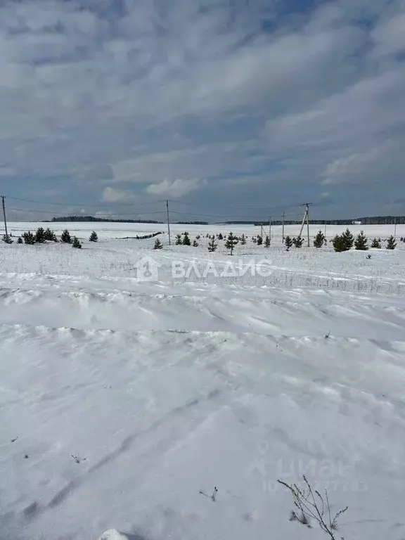 Участок в Иркутская область, Иркутский муниципальный округ, д. Ширяева ... - Фото 1