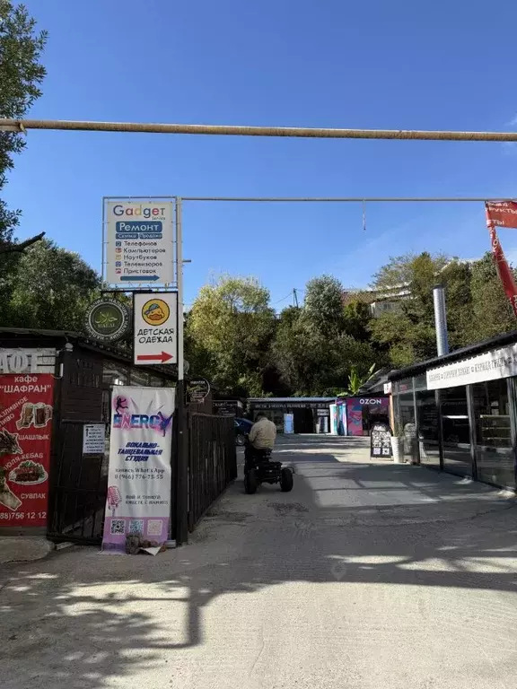 Помещение свободного назначения в Краснодарский край, Сочи ул. ... - Фото 1