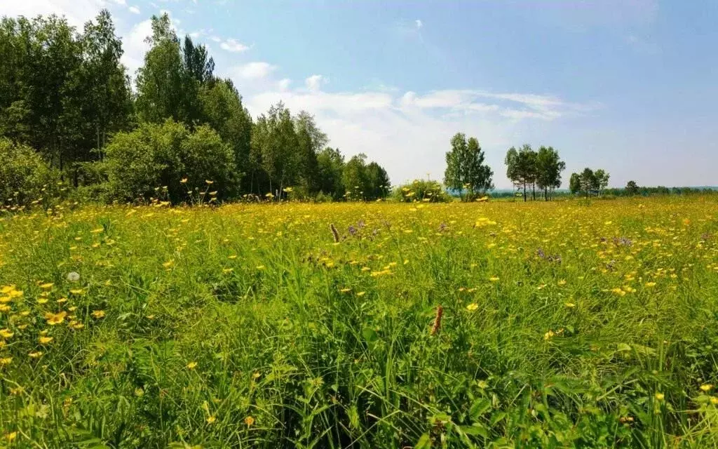 Участок в Московская область, Одинцовский городской округ, д. ... - Фото 0