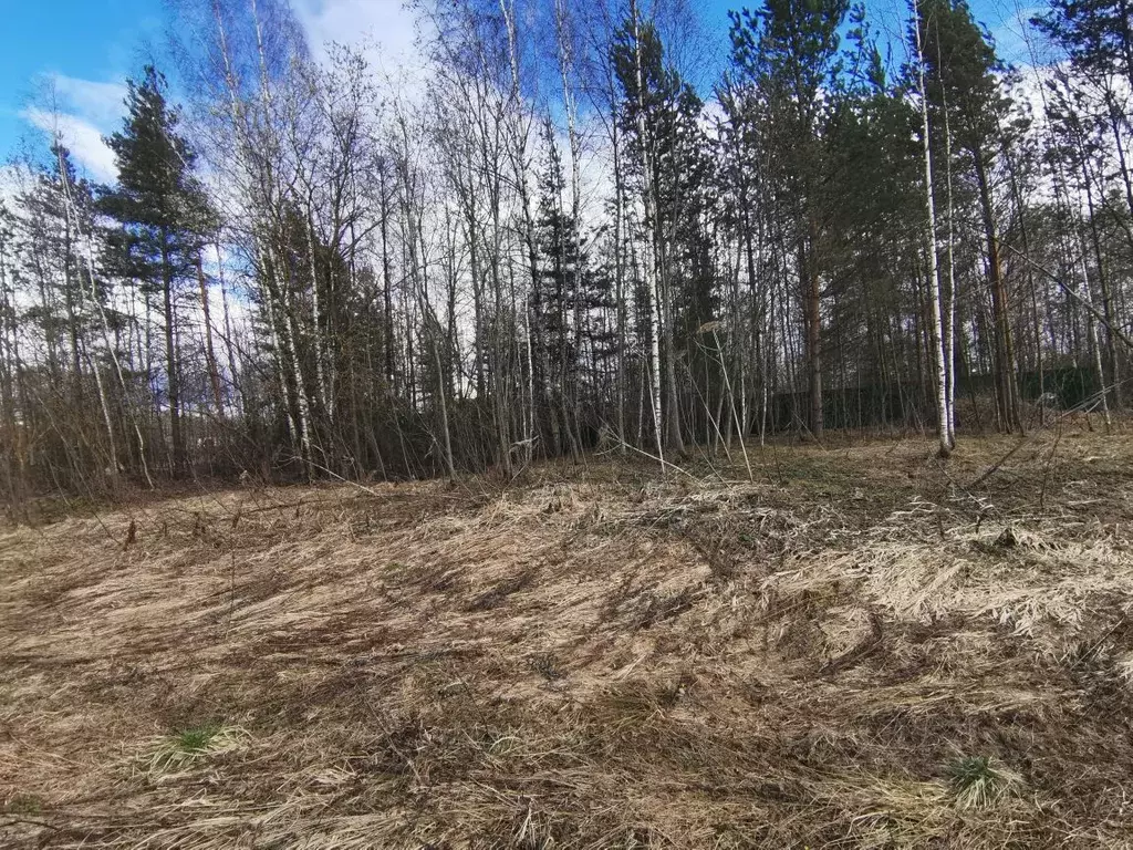 Участок в Ивановская область, Ивановский район, с. Ново-Талицы ул. ... - Фото 0