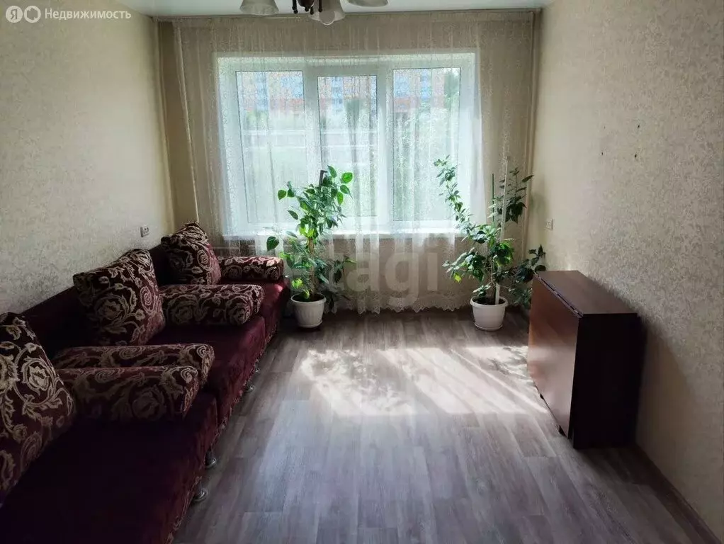 1-комнатная квартира: Барнаул, улица Попова, 10/1 (29.8 м) - Фото 1