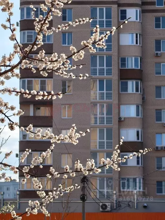 2-к кв. Ростовская область, Волгодонск просп. Курчатова, 22А (67.5 м) - Фото 0