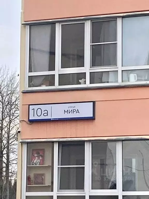 Студия Кировская область, Киров Радужный мкр, ул. Мира, 10А (24.0 м) - Фото 2