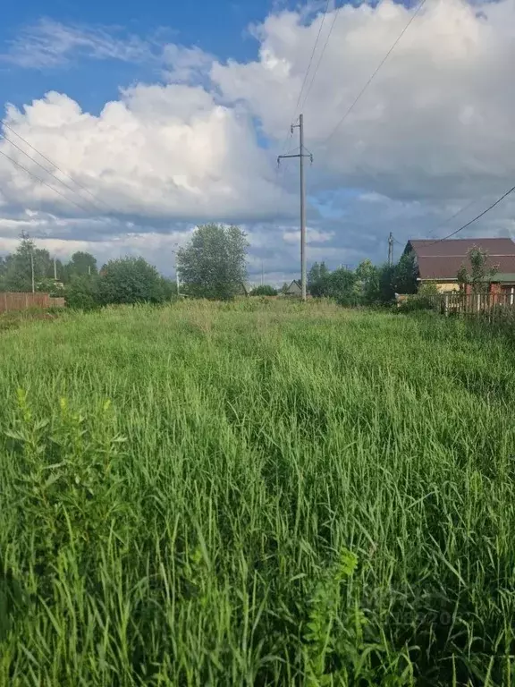 Участок в Пермский край, д. Кондратово ул. Культуры, 1А (6.5 сот.) - Фото 2