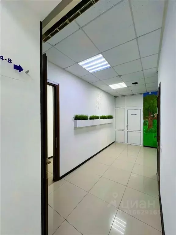 Офис в Рязанская область, Рязань ул. Урицкого, 33 (212 м) - Фото 1