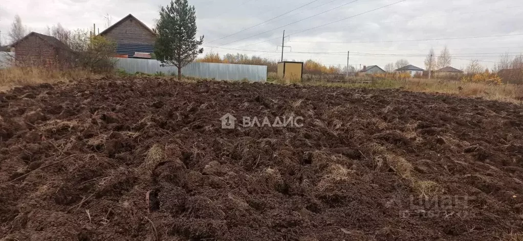 Участок в Владимирская область, Суздальский район, Новоалександровское ... - Фото 2