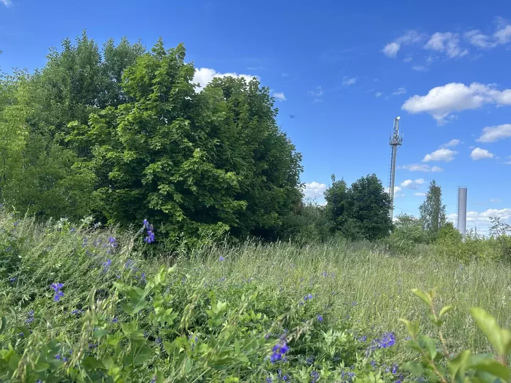 Участок в Нижегородская область, Богородский муниципальный округ, д. ... - Фото 1