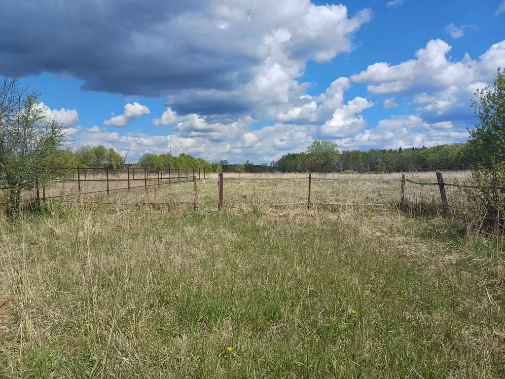 Участок в Московская область, Коломна городской округ, д. Новая  (9.0 ... - Фото 2
