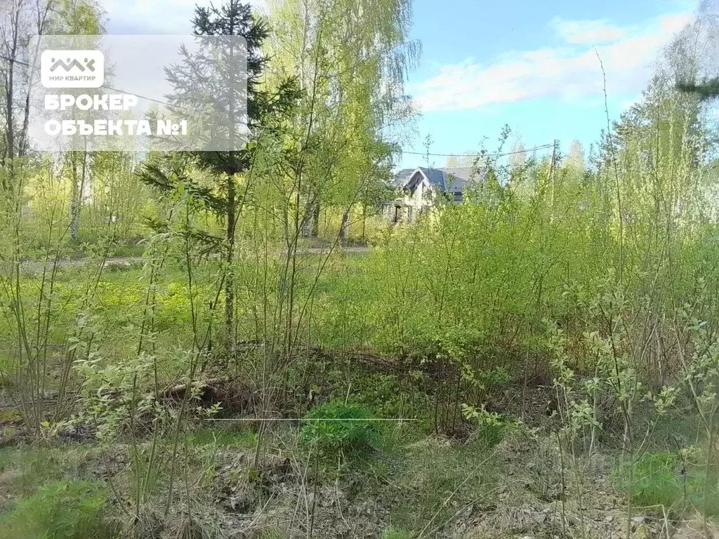 Участок в Ленинградская область, Всеволожск Новая ул. (8.3 сот.) - Фото 0