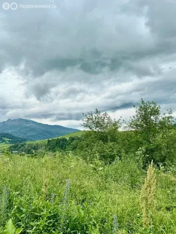 Участок в Солонешенский район, село Искра (6000 м) - Фото 1