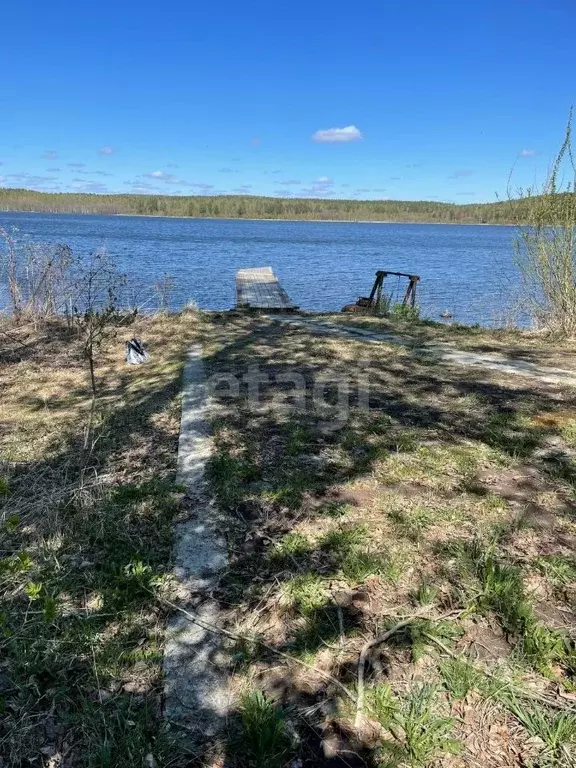 Дом в Свердловская область, Дегтярск Горная ул. (45 м) - Фото 0