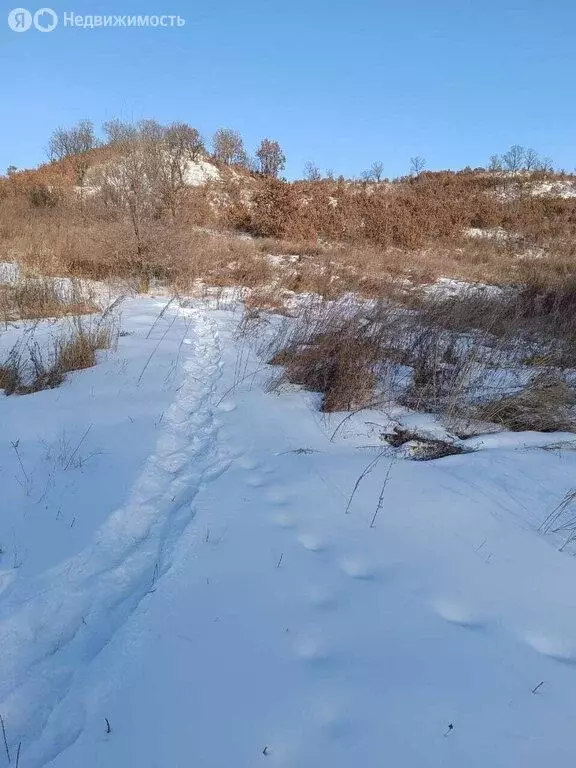 Участок в Благовещенск, посёлок Моховая Падь (5.2 м) - Фото 0