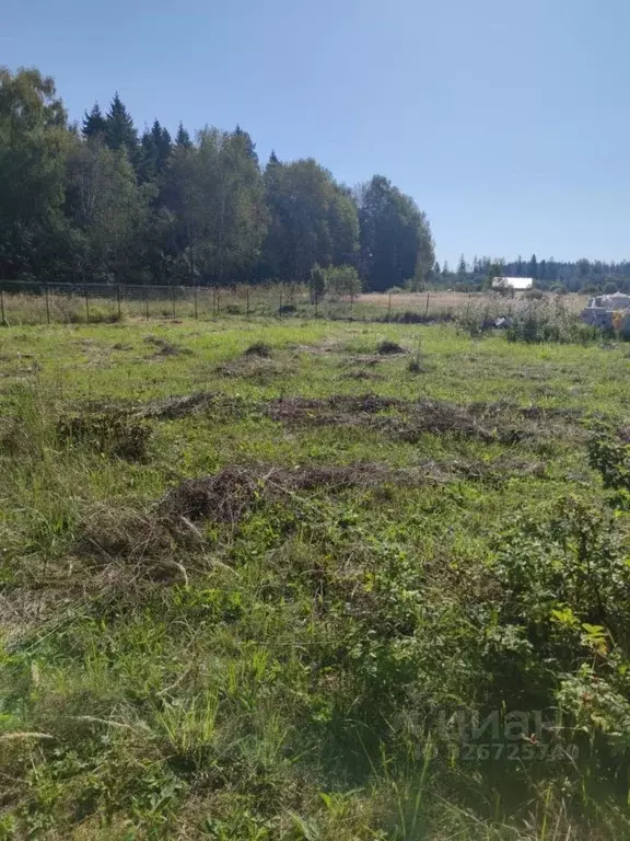Участок в Московская область, Клин городской округ, д. Давыдково, ... - Фото 1